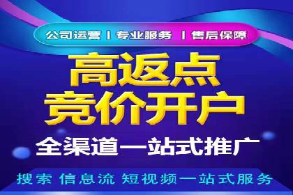 探索SEM代运营公司的经典案例与策略